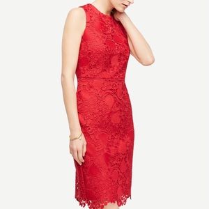 Ann Taylor Lace dress